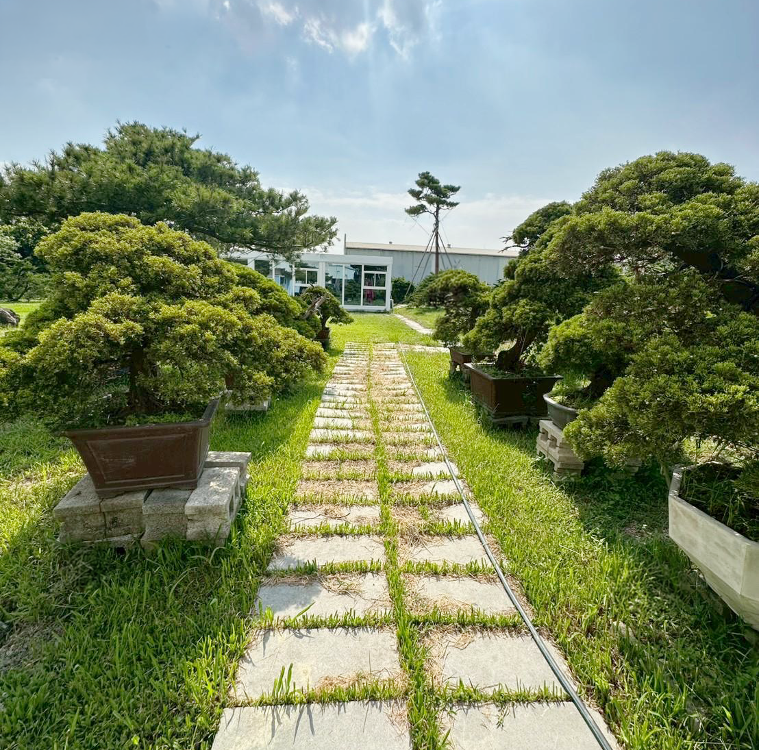 SunRising Associate Green Campus